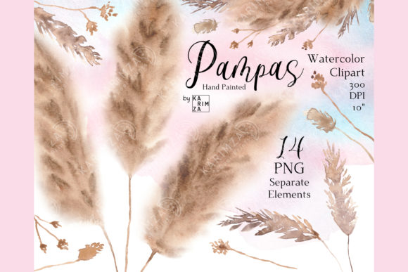 Download Fluffy Pampas Grass Clipart Watercolor - Premium Resources